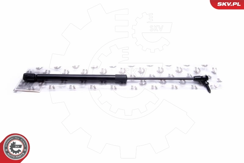Gas Spring, boot/cargo area